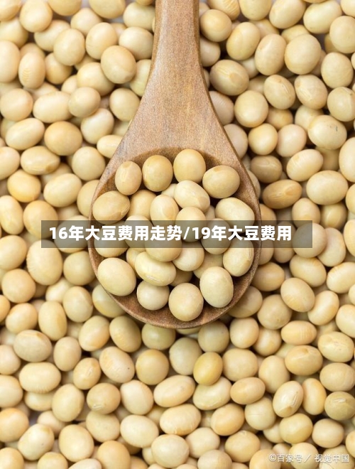 16年大豆费用走势/19年大豆费用-第2张图片