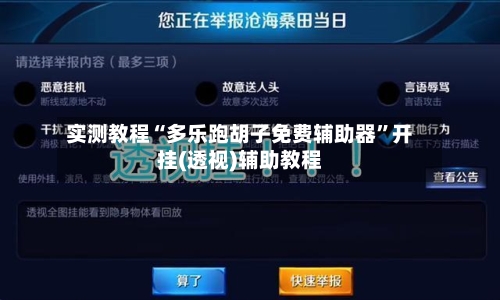 实测教程“多乐跑胡子免费辅助器”开挂(透视)辅助教程-第2张图片