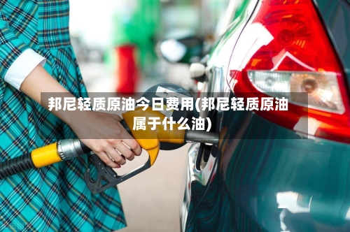 邦尼轻质原油今日费用(邦尼轻质原油属于什么油)