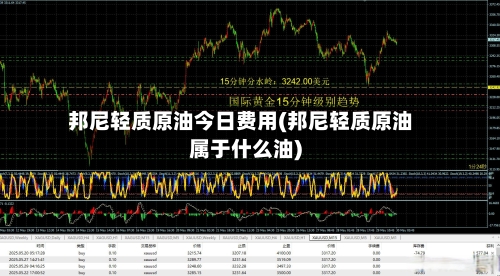 邦尼轻质原油今日费用(邦尼轻质原油属于什么油)-第2张图片