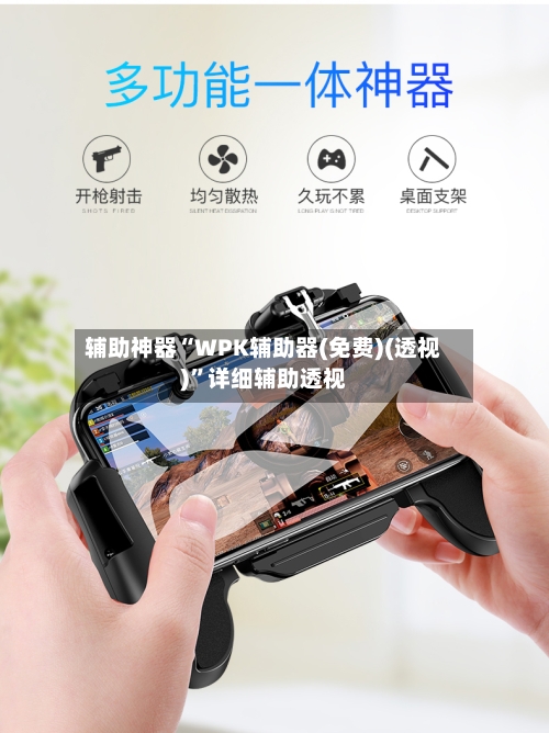 辅助神器“WPK辅助器(免费)(透视)	”详细辅助透视-第2张图片