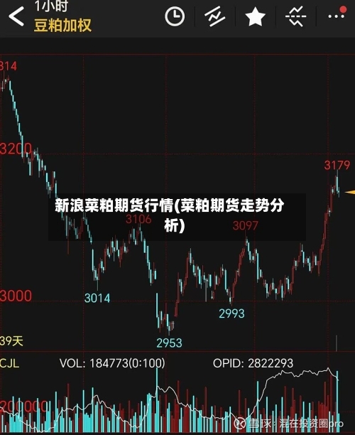 新浪菜粕期货行情(菜粕期货走势分析)-第2张图片