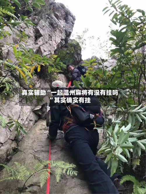 真实辅助“一起温州麻将有没有挂吗”其实确实有挂