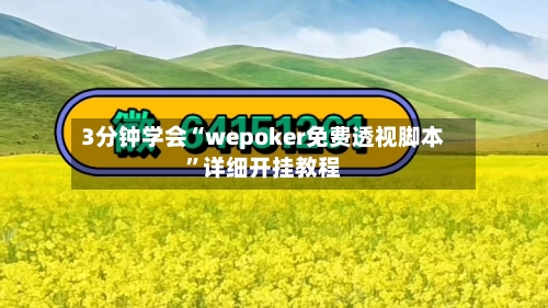 3分钟学会“wepoker免费透视脚本	”详细开挂教程-第2张图片