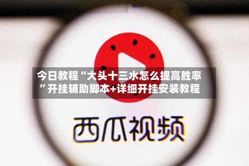 今日教程“大头十三水怎么提高胜率”开挂辅助脚本+详细开挂安装教程-第2张图片