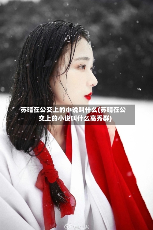 苏晴在公交上的小说叫什么(苏晴在公交上的小说叫什么高秀群)-第2张图片