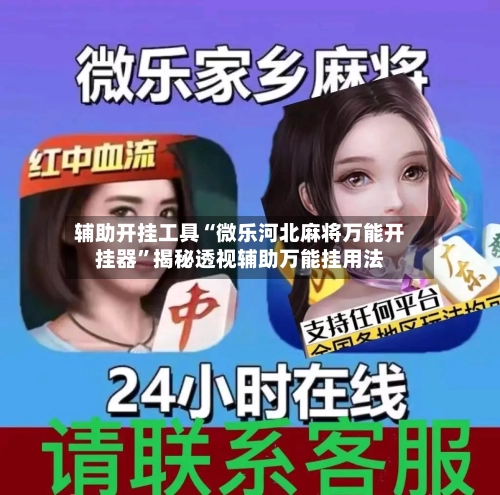 辅助开挂工具“微乐河北麻将万能开挂器”揭秘透视辅助万能挂用法-第2张图片