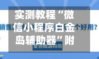 实测教程“微信小程序白金岛辅助器”附开挂脚本详细步骤-第2张图片
