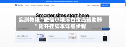 实测教程“微信小程序白金岛辅助器”附开挂脚本详细步骤-第3张图片