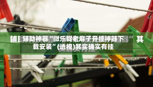 辅助神器“微乐捉老麻子开挂神器下载安装”(透视)其实确实有挂