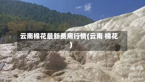 云南棉花最新费用行情(云南 棉花)-第2张图片