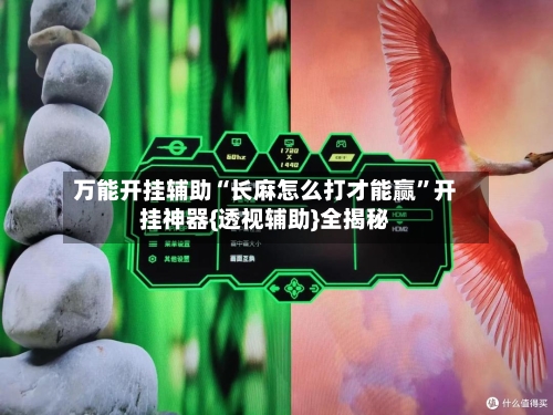 万能开挂辅助“长麻怎么打才能赢”开挂神器{透视辅助}全揭秘-第3张图片