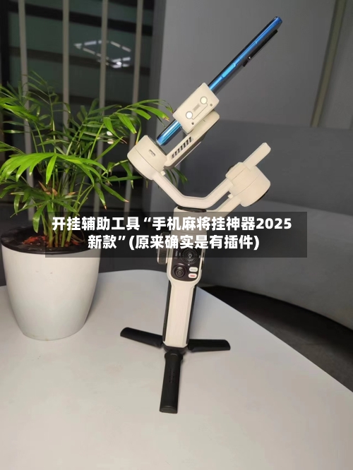 开挂辅助工具“手机麻将挂神器2025新款”(原来确实是有插件)-第2张图片