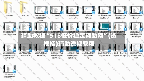 辅助教程“518低价稳定辅助网”(透视挂)辅助透视教程-第2张图片