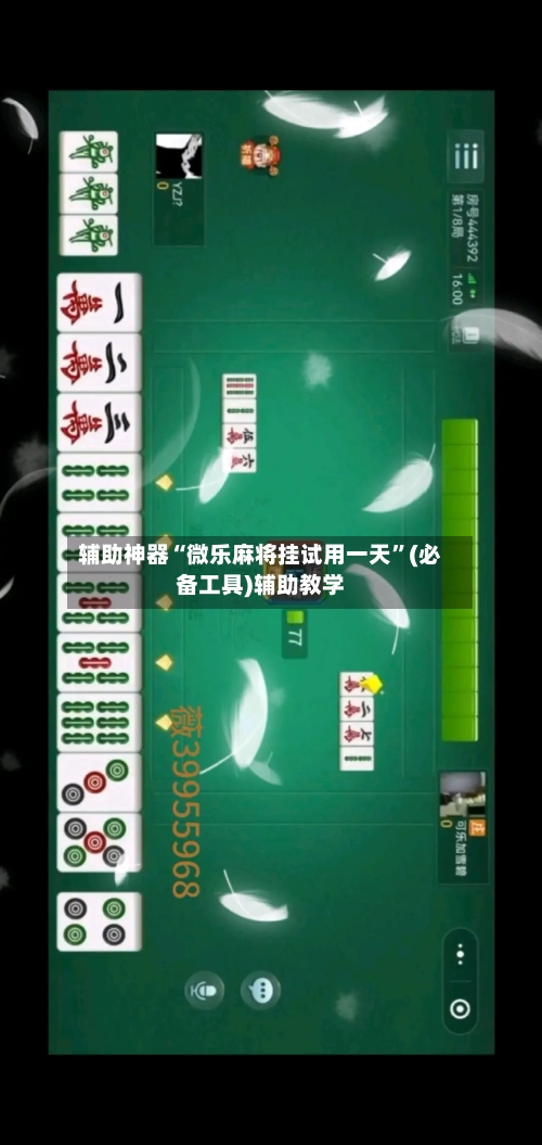 辅助神器“微乐麻将挂试用一天”(必备工具)辅助教学-第2张图片