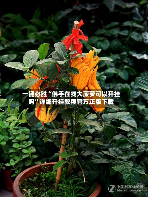 一键必胜“佛手在线大菠萝可以开挂吗”详细开挂教程官方正版下载-第2张图片