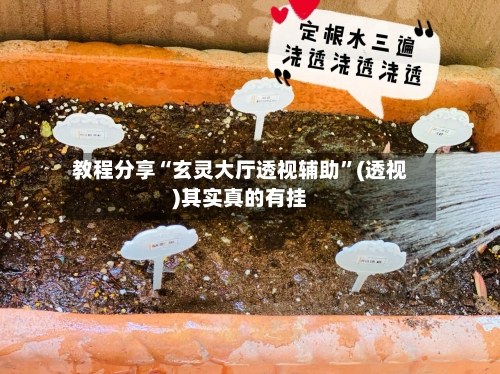 教程分享“玄灵大厅透视辅助	”(透视)其实真的有挂-第2张图片