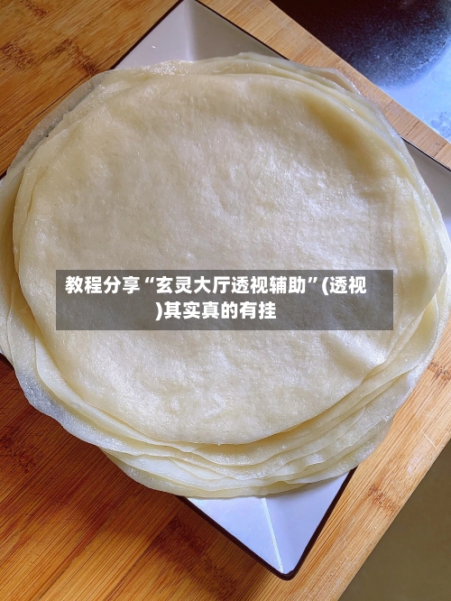 教程分享“玄灵大厅透视辅助”(透视)其实真的有挂-第3张图片