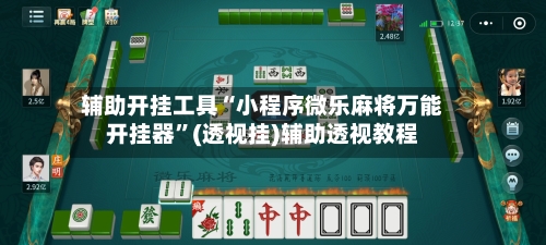 辅助开挂工具“小程序微乐麻将万能开挂器”(透视挂)辅助透视教程