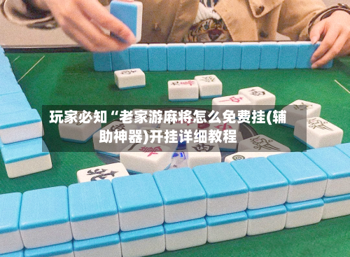 玩家必知“老家游麻将怎么免费挂(辅助神器)开挂详细教程-第2张图片