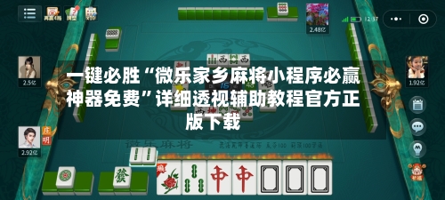 一键必胜“微乐家乡麻将小程序必赢神器免费”详细透视辅助教程官方正版下载-第3张图片