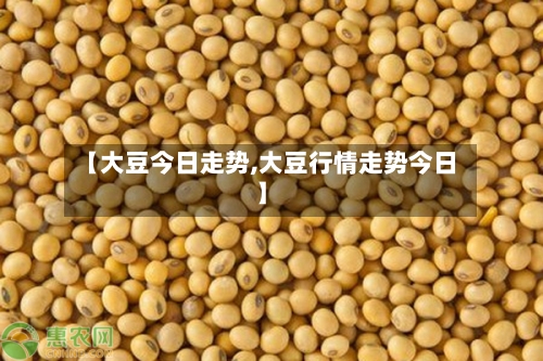 【大豆今日走势,大豆行情走势今日】-第3张图片