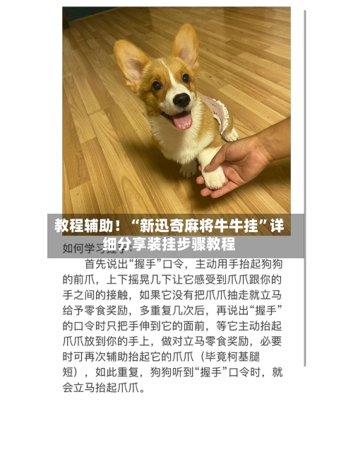 教程辅助！“新迅奇麻将牛牛挂”详细分享装挂步骤教程