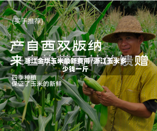 浙江金华玉米最新费用/浙江玉米多少钱一斤-第2张图片