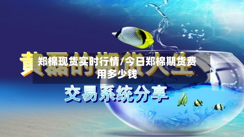 郑棉现货实时行情/今日郑棉期货费用多少钱