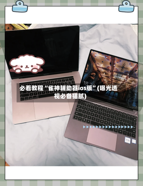 必看教程“雀神辅助器ios版”(曝光透视必备猫腻)