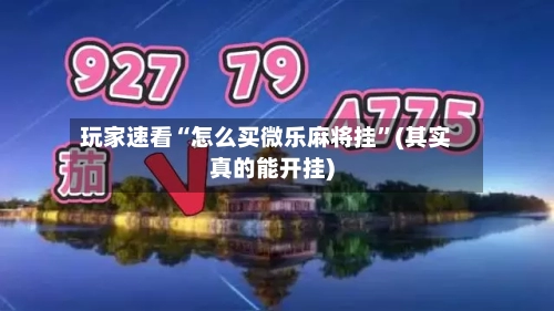 玩家速看“怎么买微乐麻将挂”(其实真的能开挂)