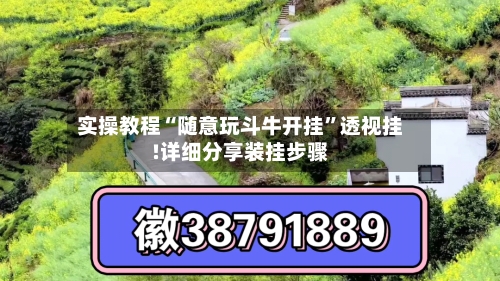 实操教程“随意玩斗牛开挂”透视挂!详细分享装挂步骤-第3张图片