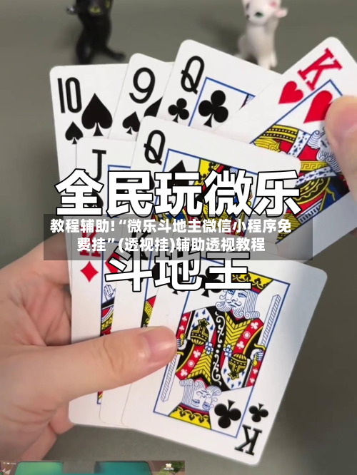 教程辅助!“微乐斗地主微信小程序免费挂”(透视挂)辅助透视教程