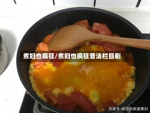 煮妇也疯狂/煮妇也疯狂普法栏目剧