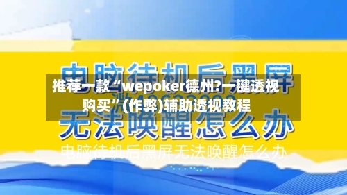 推荐一款“wepoker德州?一键透视购买”(作弊)辅助透视教程-第3张图片