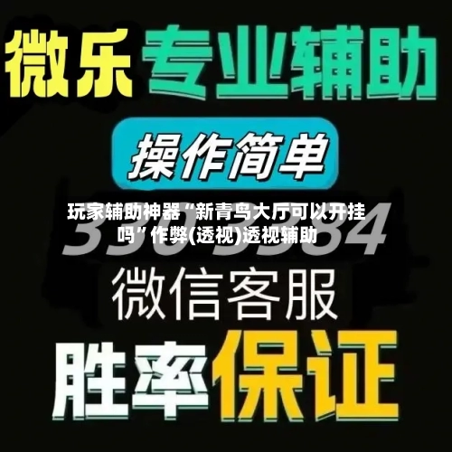 玩家辅助神器“新青鸟大厅可以开挂吗”作弊(透视)透视辅助