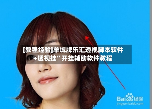 [教程经验]羊城牌乐汇透视脚本软件+透视挂”开挂辅助软件教程-第2张图片