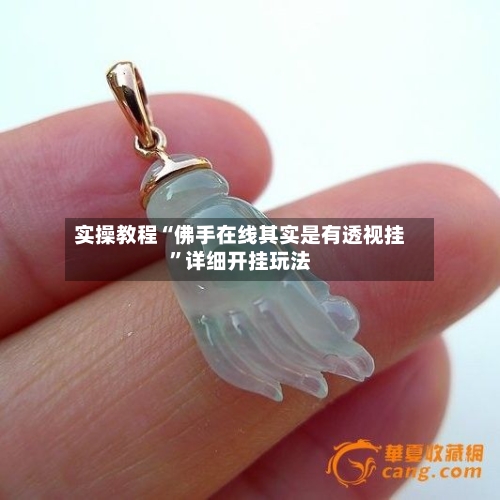 实操教程“佛手在线其实是有透视挂”详细开挂玩法-第3张图片