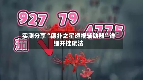 实测分享“德扑之星透视辅助器”详细开挂玩法-第2张图片