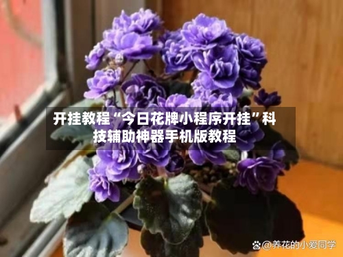 开挂教程“今日花牌小程序开挂”科技辅助神器手机版教程
