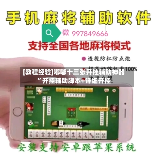 [教程经验]嘟嘟十三张开挂辅助神器”开挂辅助脚本+详细开挂-第2张图片