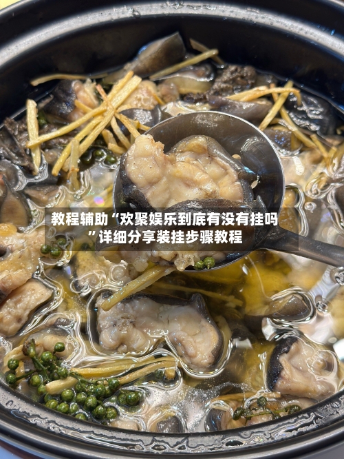 教程辅助“欢聚娱乐到底有没有挂吗	”详细分享装挂步骤教程-第2张图片
