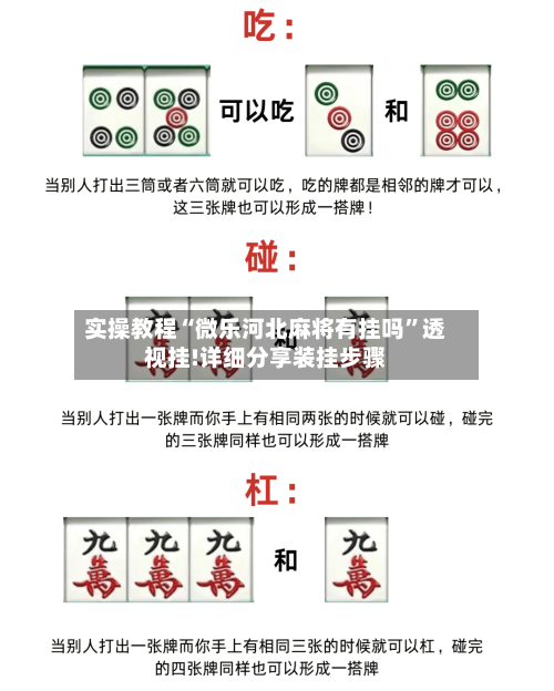实操教程“微乐河北麻将有挂吗”透视挂!详细分享装挂步骤-第3张图片