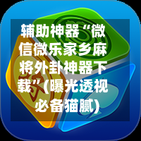 辅助神器“微信微乐家乡麻将外卦神器下载”(曝光透视必备猫腻)