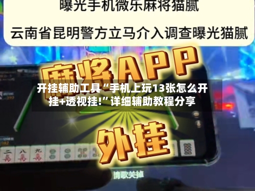 开挂辅助工具“手机上玩13张怎么开挂+透视挂!”详细辅助教程分享