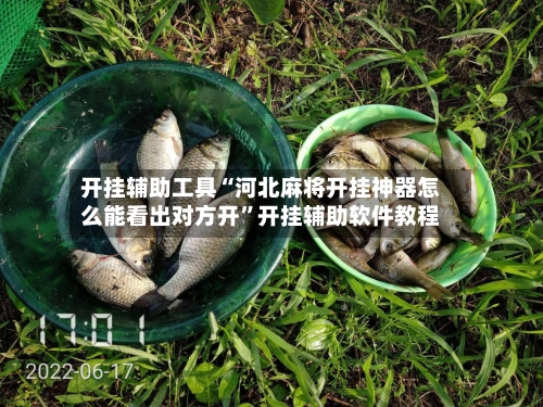 开挂辅助工具“河北麻将开挂神器怎么能看出对方开”开挂辅助软件教程