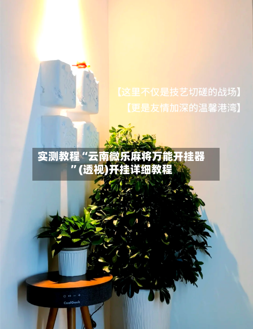 实测教程“云南微乐麻将万能开挂器”(透视)开挂详细教程-第2张图片