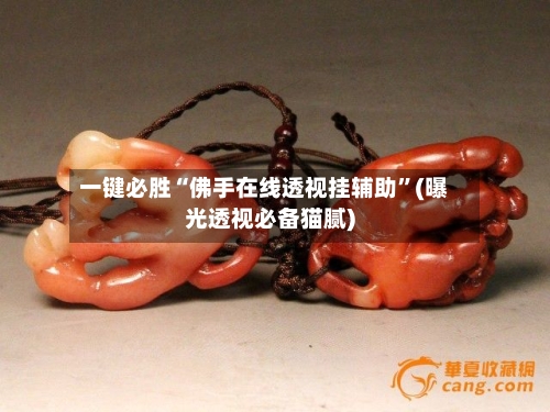 一键必胜“佛手在线透视挂辅助”(曝光透视必备猫腻)-第2张图片