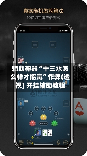 辅助神器“十三水怎么样才能赢”作弊(透视) 开挂辅助教程