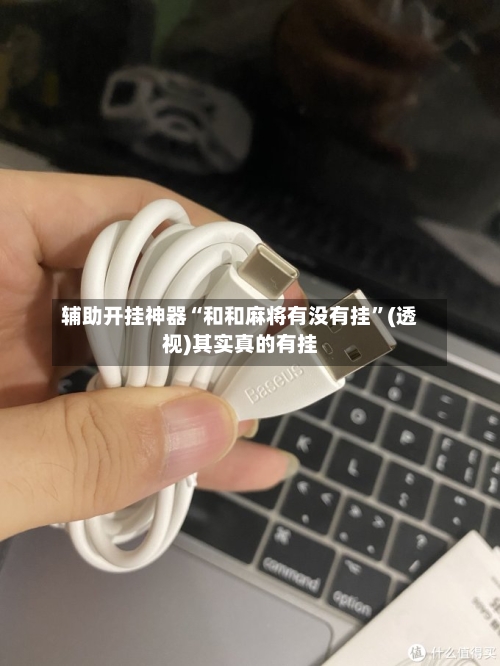 辅助开挂神器“和和麻将有没有挂	”(透视)其实真的有挂-第2张图片